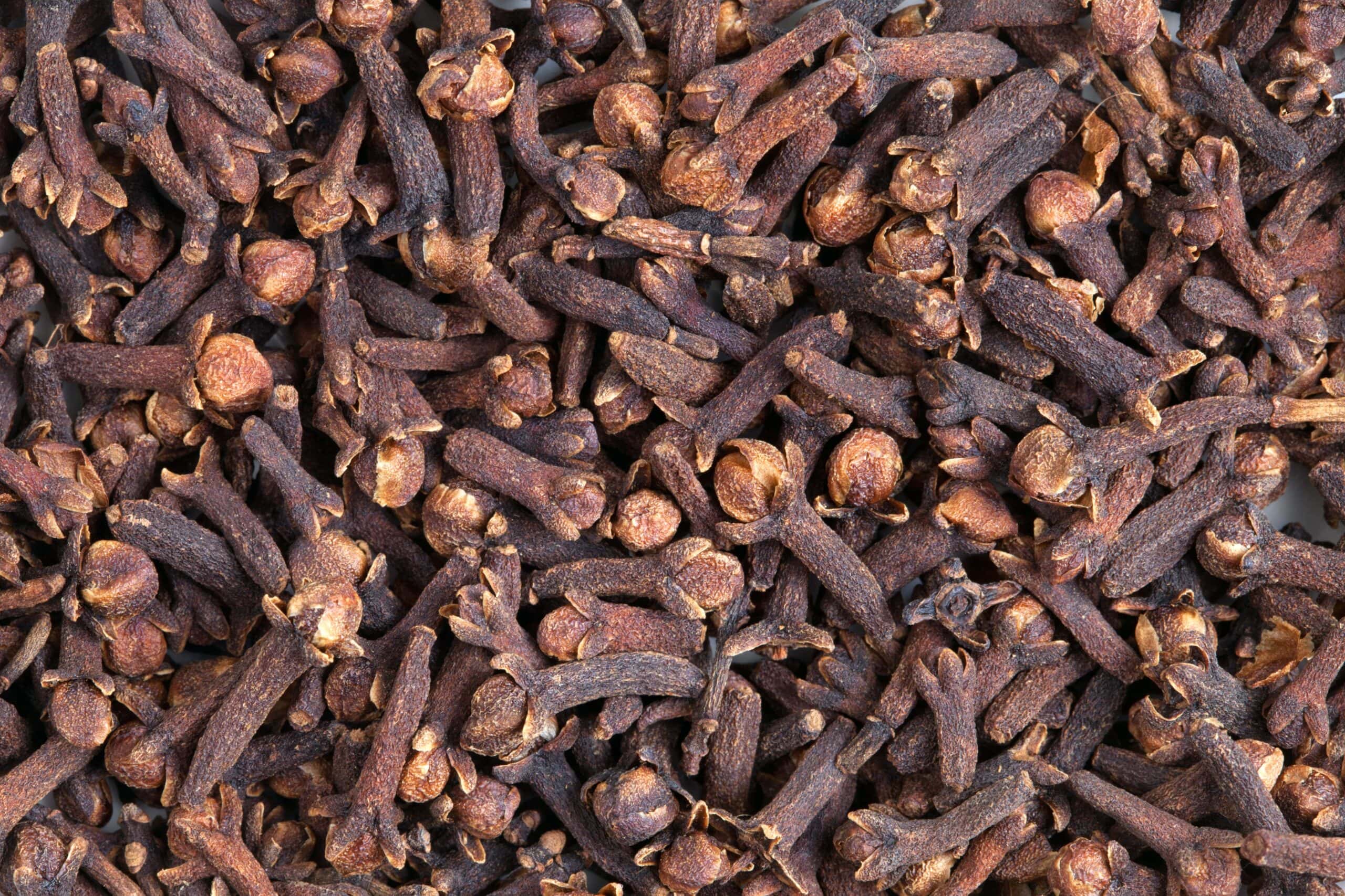 Cloves